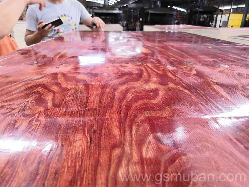 2025年建筑模板市場分析:機遇與挑戰(zhàn)并存! 2025年建筑模板市場分析:機遇與挑戰(zhàn)并存!